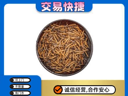 银川市永宁礼品回收虫草.jpg